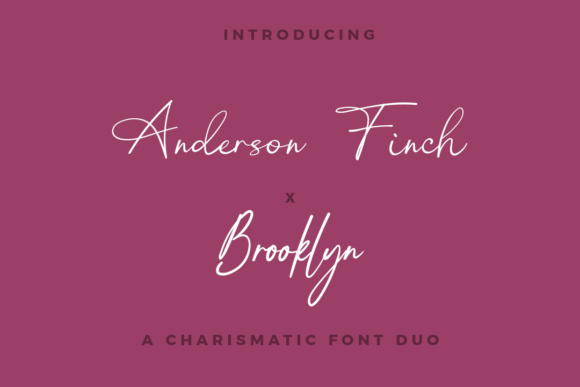 Download Anderson Finch X Brooklyn Duo - Duo Collection
